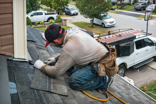 Professional Gutter Repair And Installation technician working in Thief River Falls, MN